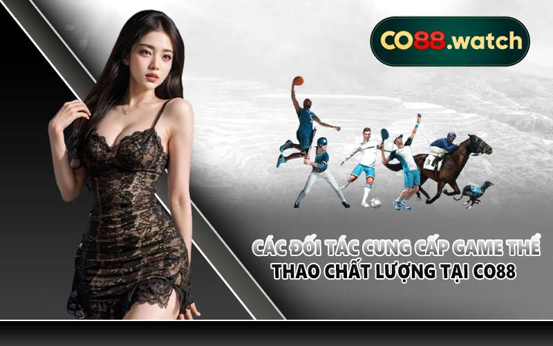 Các đối tác cung cấp game thể thao chất lượng tại CO88