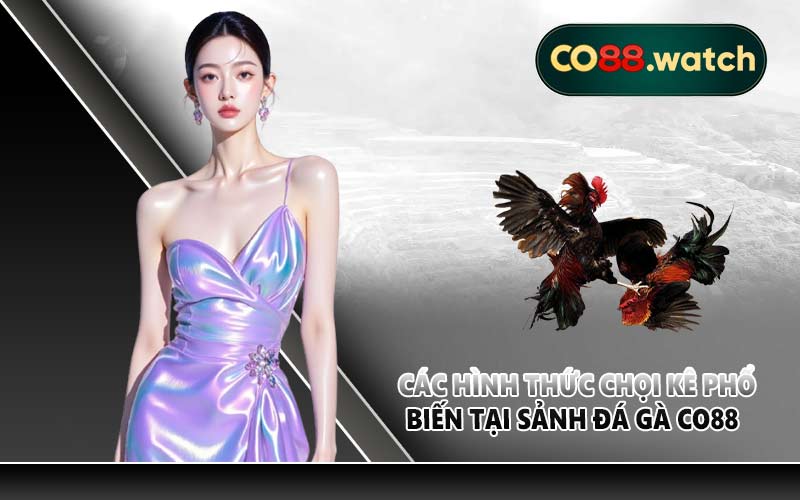 Các hình thức chọi kê phổ biến tại sảnh đá gà CO88