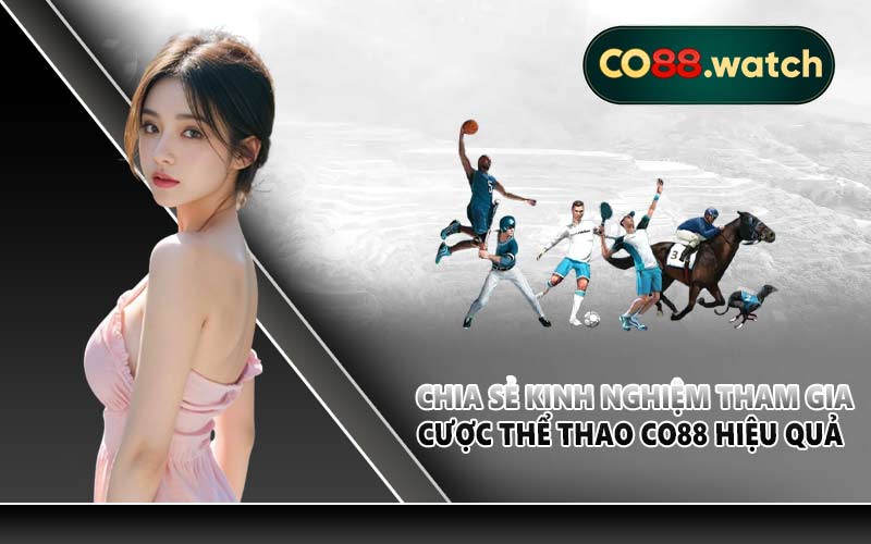 Chia sẻ kinh nghiệm tham gia cược thể thao CO88 hiệu quả
