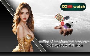 Những lý do sảnh chơi DG Casino CO88 lại được yêu thích